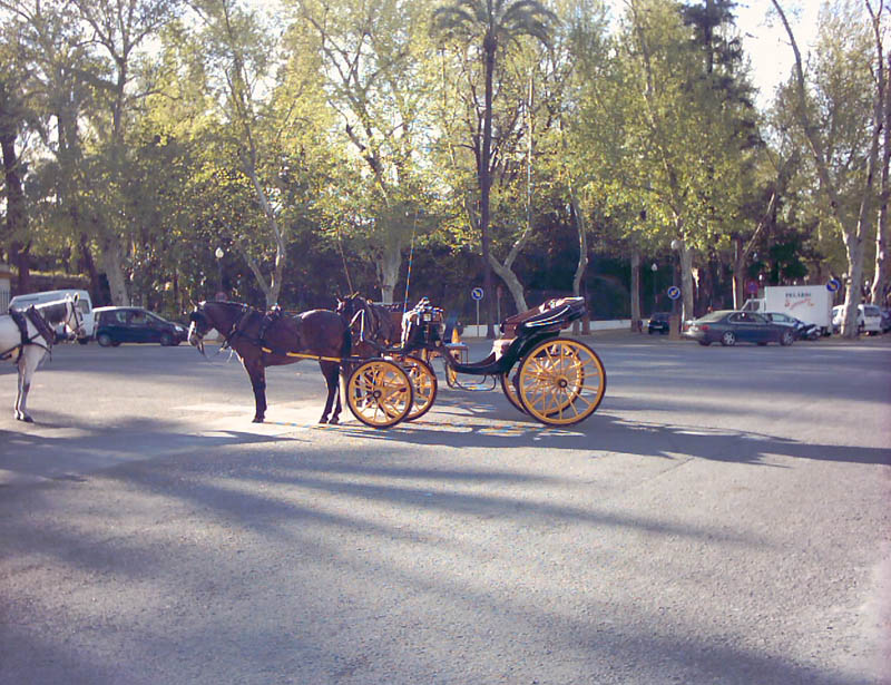 cocheros-plaza-espana-sevilla